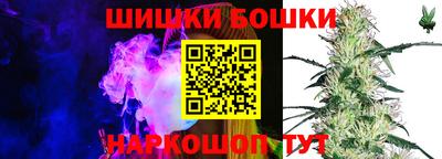 mdpv Обнинск