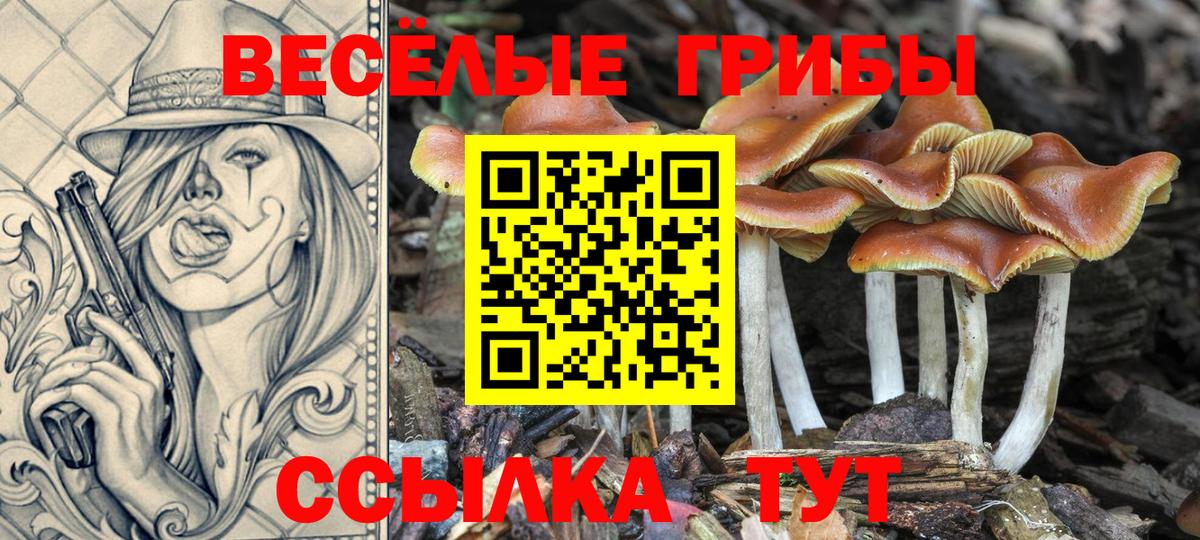 Галлюциногенные грибы мицелий Сургут