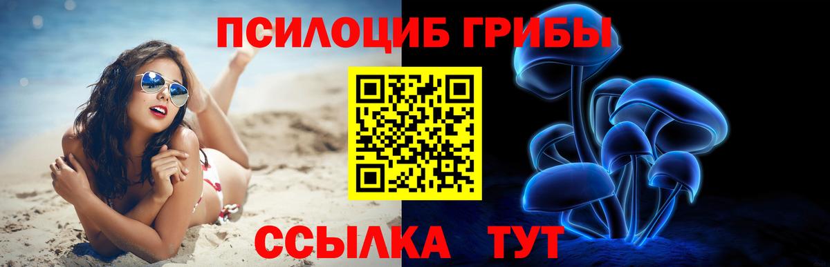 продажа наркотиков  Вход с VPN  Сургут  Галлюциногенные грибы прущие грибы 