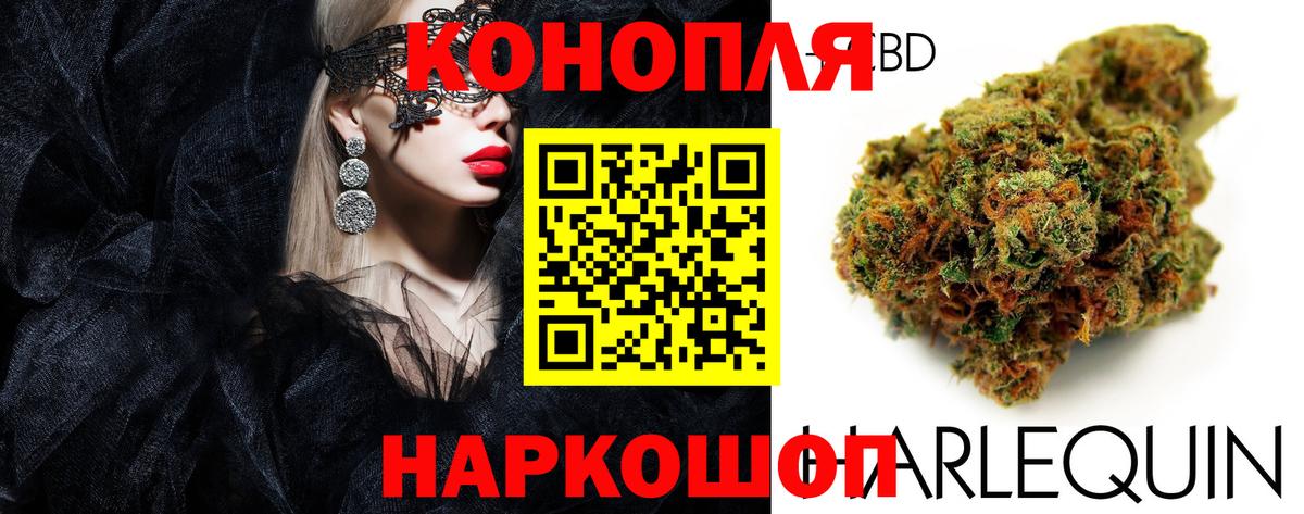 Канабис планчик Сургут